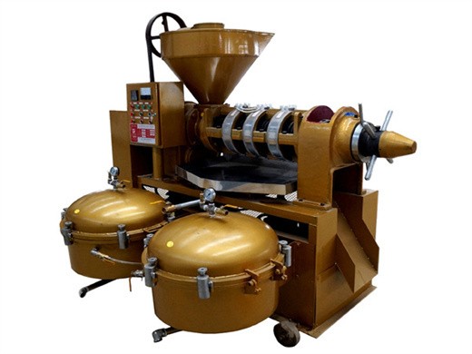 commercial use flax seed cold oil press machine/grape seed oil